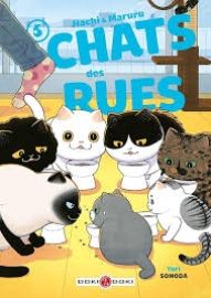 CHATS DES RUES